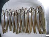 DSC01834.JPG