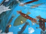 DSC02093.JPG