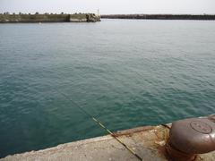 DSC02281.JPG