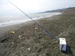 DSC02823.JPG