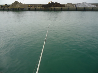 DSC06203.JPG