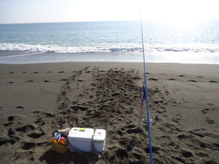 DSC06271.JPG