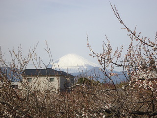 DSC06368.JPG